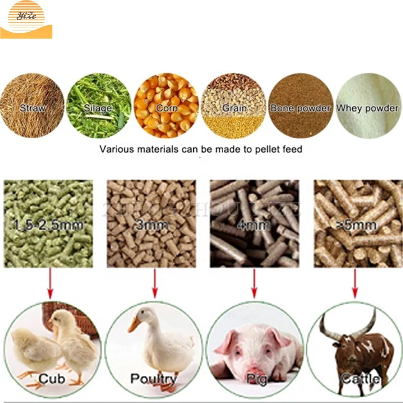 Feed Pellet Making Machine Animal Chicken Feed Pellet Machine Pellets
