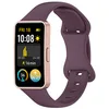 Smoky purple-Only Strap