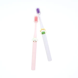 New Arrival Modern Wide Head Soft Bristles Toothbrush for Adult PET Box Individually Packing Oem Label Plastic