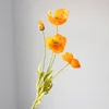 Light orange-yellow
