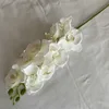 SKU02