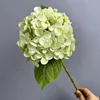 Verde chiaro