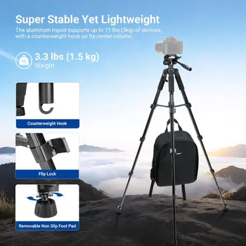 NEEWER Basics Camera Tripod, 74" Tripod with Cell Phone Holder Mount Compatible with iPhone for Video Recording, Professional detail image