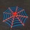 spider web