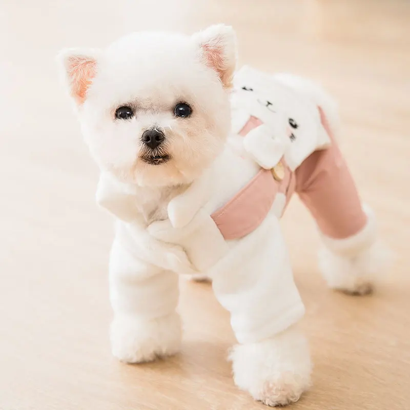 high end dog apparel