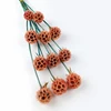 Orange 3