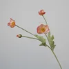 rosa claro