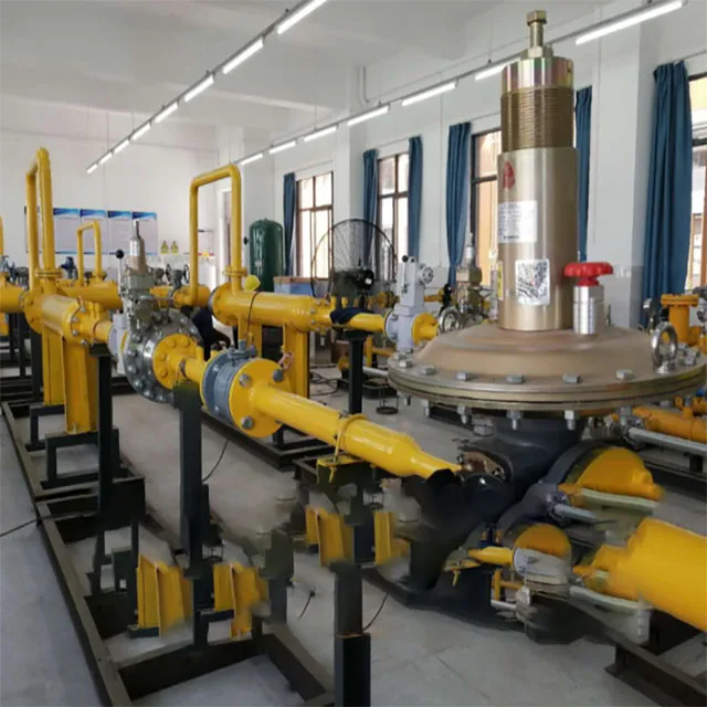 Dérapage duplex intégré chinois de pompe auxiliaire de gavage de carburant liquide d'équipement combiné avec le contrôleur de FISHER DVC 6200