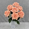 Arancione chiaro