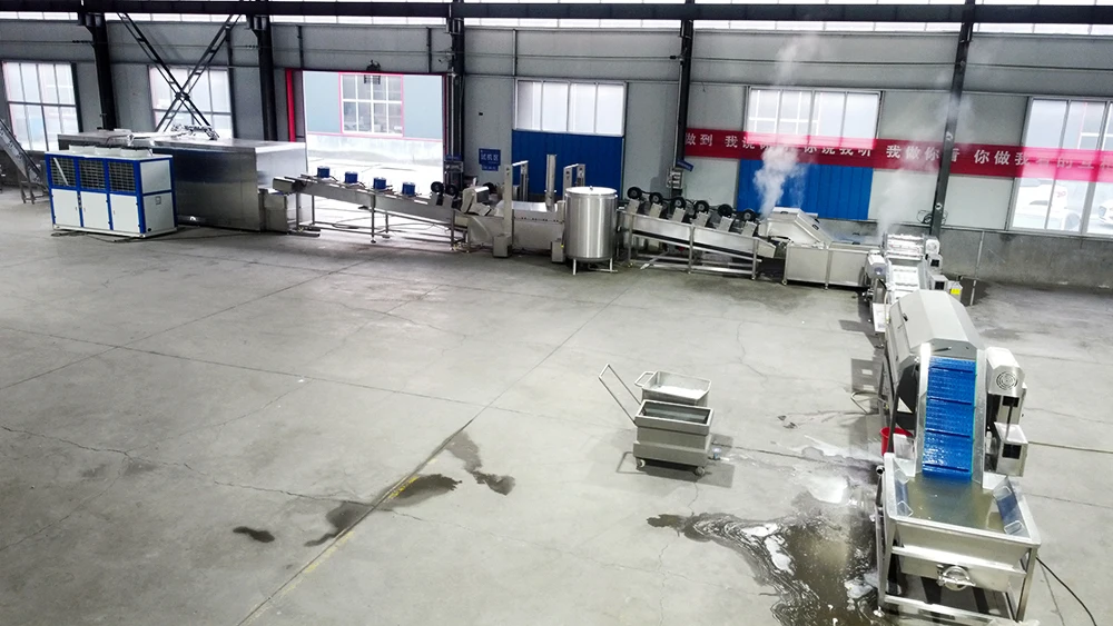 Automatic French Fries Processing Line manufacture