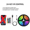 5V + Remote Control with 24 Buttons [30 LEDS/m]