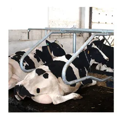 free stall dairy barn designs
