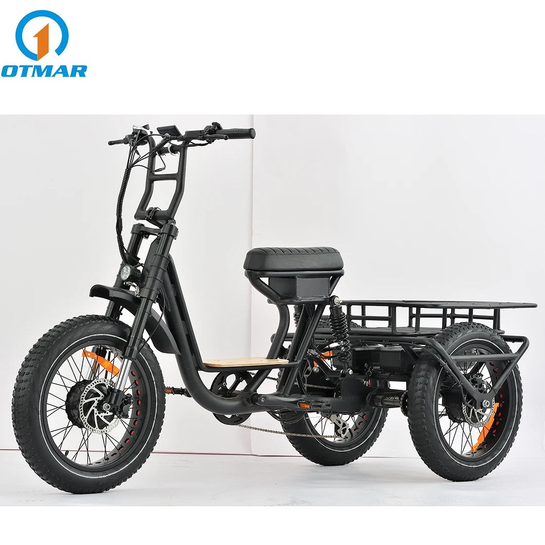 All Drive 3 Wheel Cargo Electric Tricycle High Power 2 Battery Full Suspension Adult E Trike