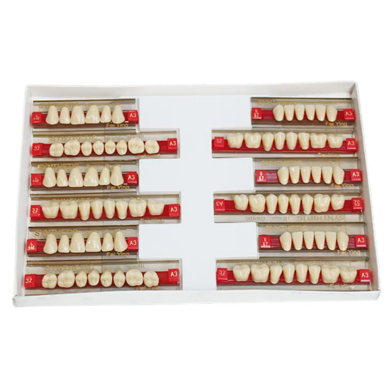 CE ISO Dental Supply Multi-Layer Acrylic Resin Teeth for Dentures