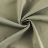 38 atrovirens