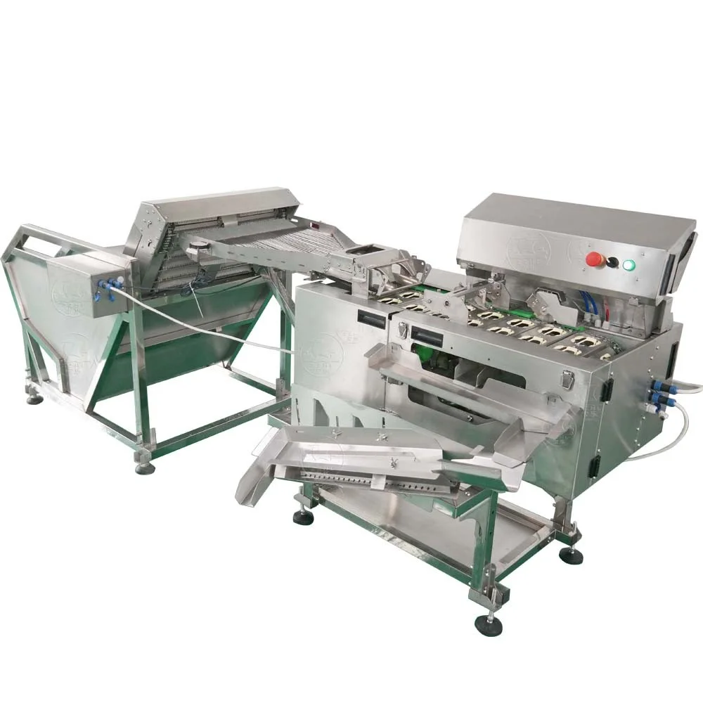 F1 High Quality Egg Washing and Grading Machine Automatic Dirty Chicken Quail Duck Egg Wash Washer