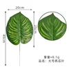 Watermelon leaf large