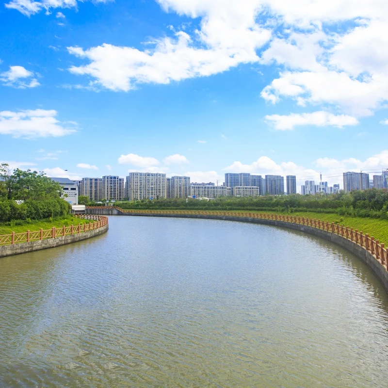 Специализированная бактерия для очистки сточных вод, чистой воды, уменьшение уровня груза, устранение запаха сточных вод