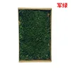 Large gray moss - military green