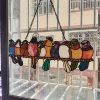multi color