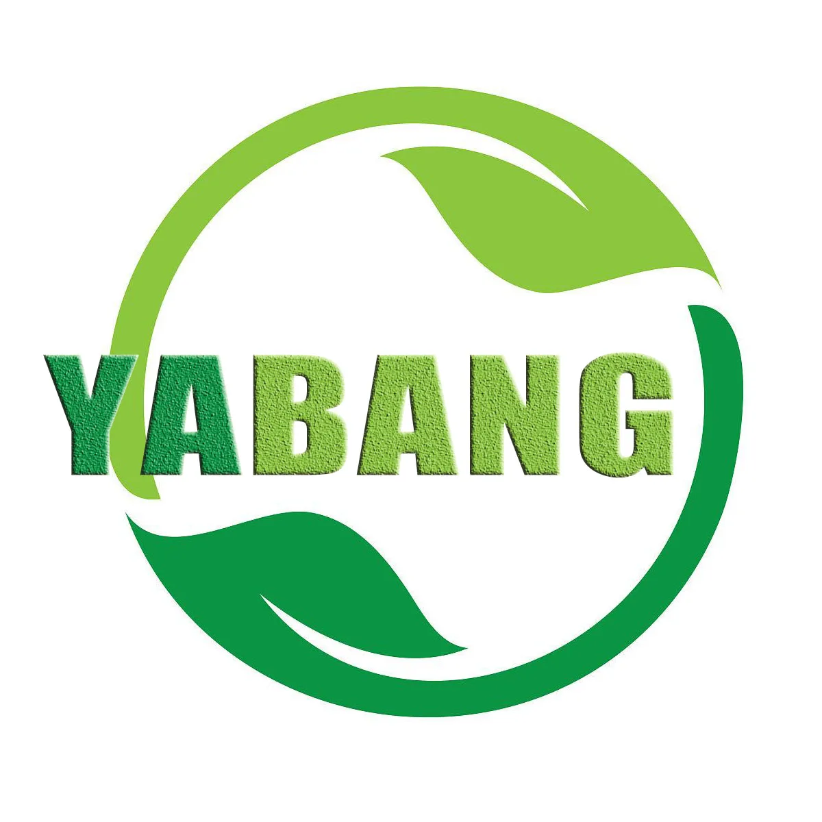 Company Overview Hebei Yabang Technology Co., Ltd.
