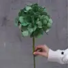 #7 Ortensie 3D - Verde Scuro