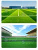 Golf verde