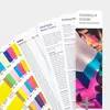 PANTONE