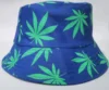 blu verde
