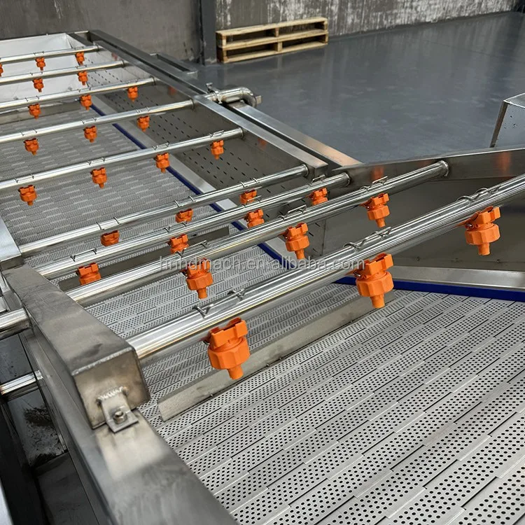 Fruit Vegetable Cutting Machine Vegetable Fruit Cutting Washing Production Line Salad Vegetable Making Processing Equipment