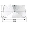 Titanium silver large model