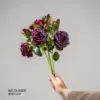 Dark red coating rose