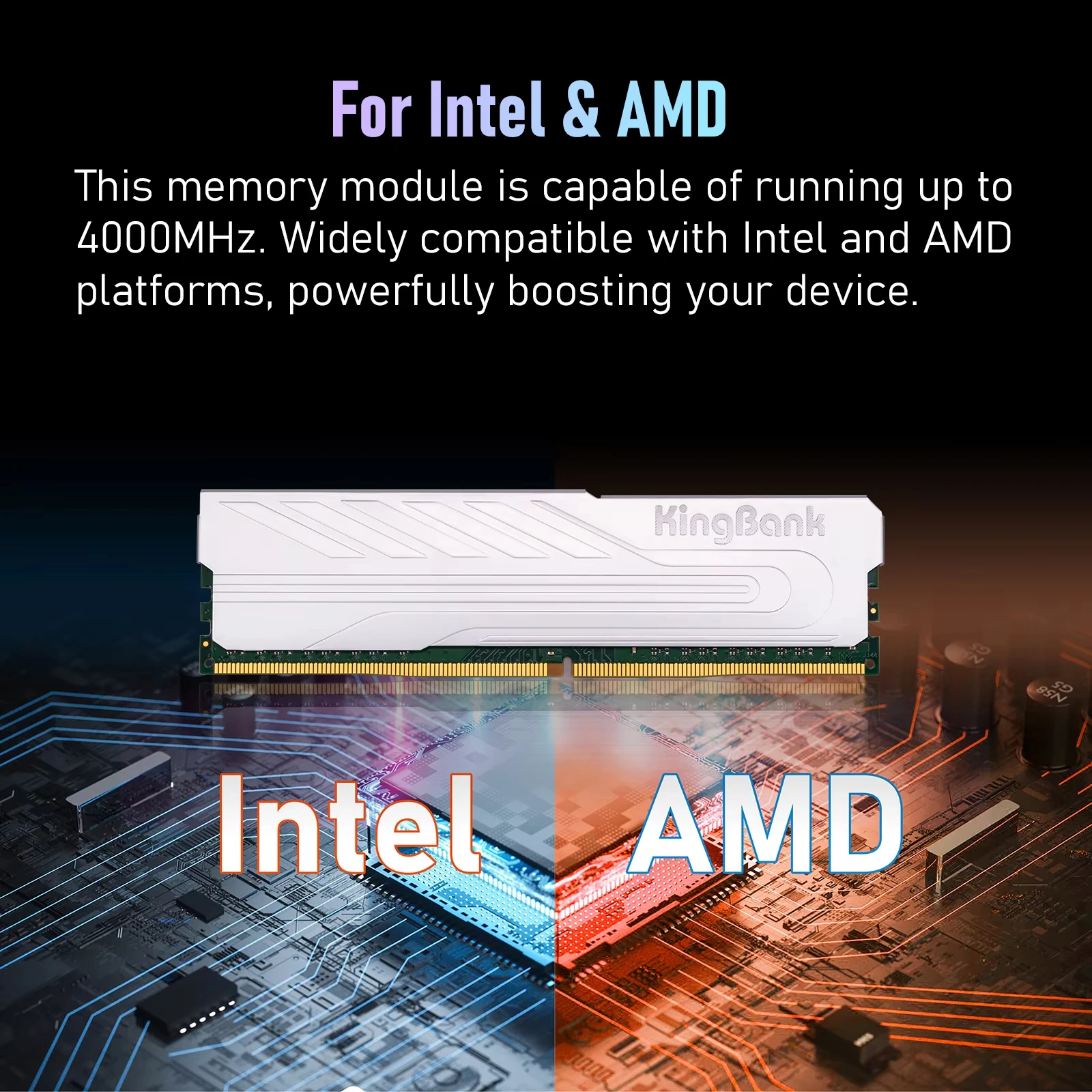 使用極少 KingBank DDR4 32GB x2 3600MHz メモリ