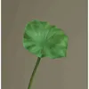 green lotus leaf 02