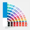 Color personalizado