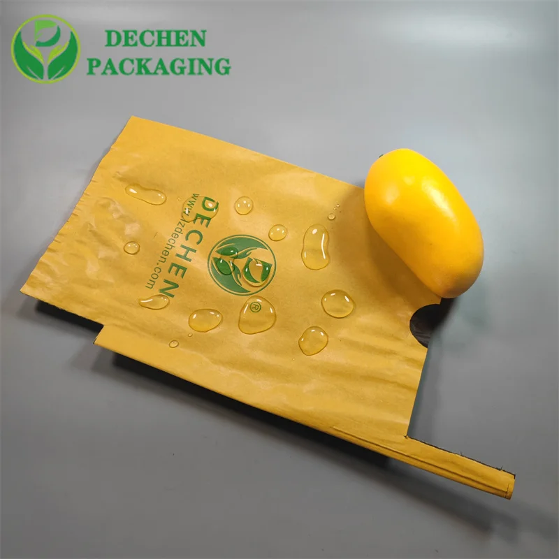 Kraft Paper Fruits Fruit Bags For Protection Cheapest Price Mango Growing Bag
