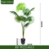 160CM/Sabal