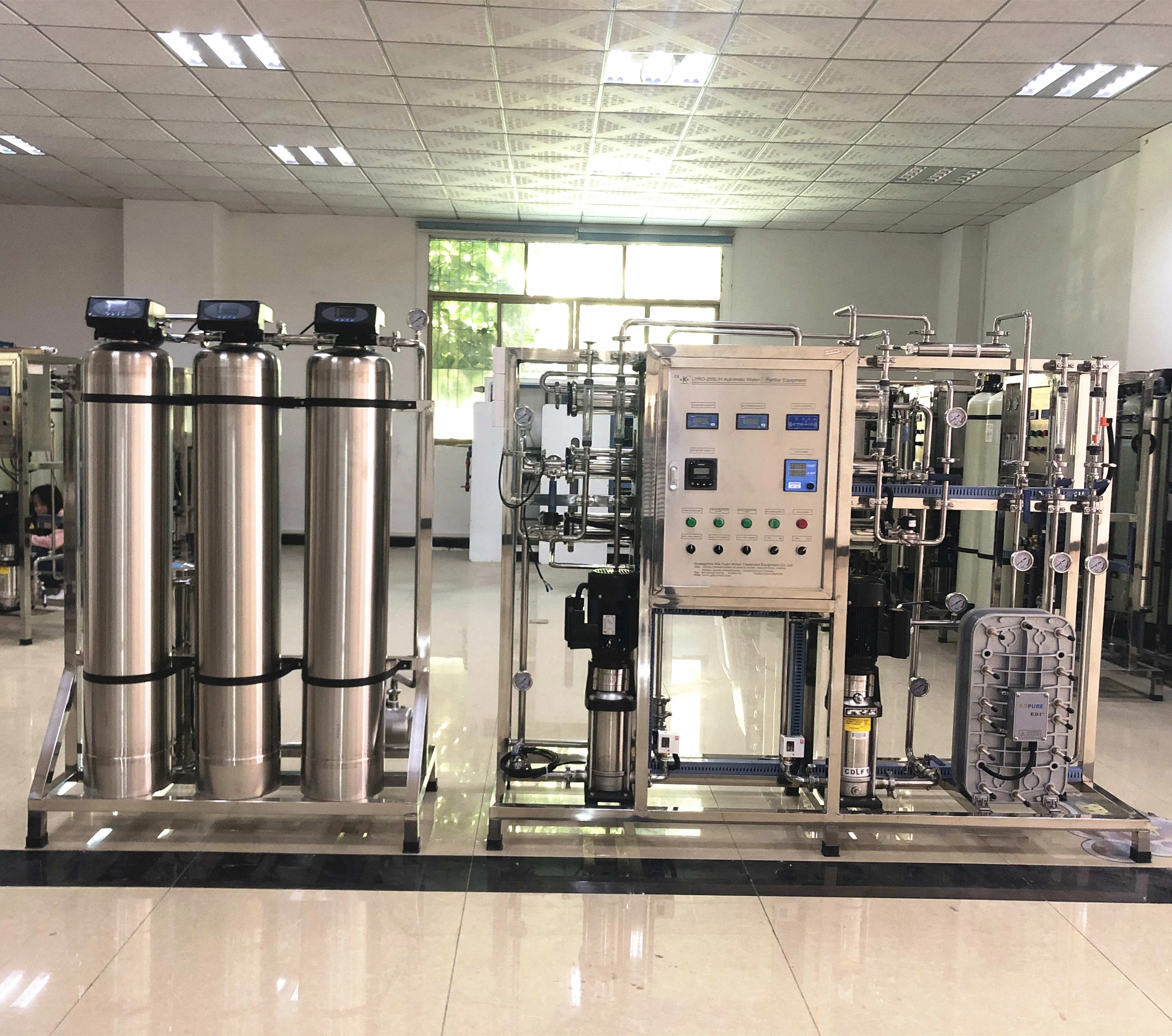 Automatic 250LPH TWO Stage RO and Edi Water System Osmosis Inversa Industrial Water Purification Plant for Hemodialysis