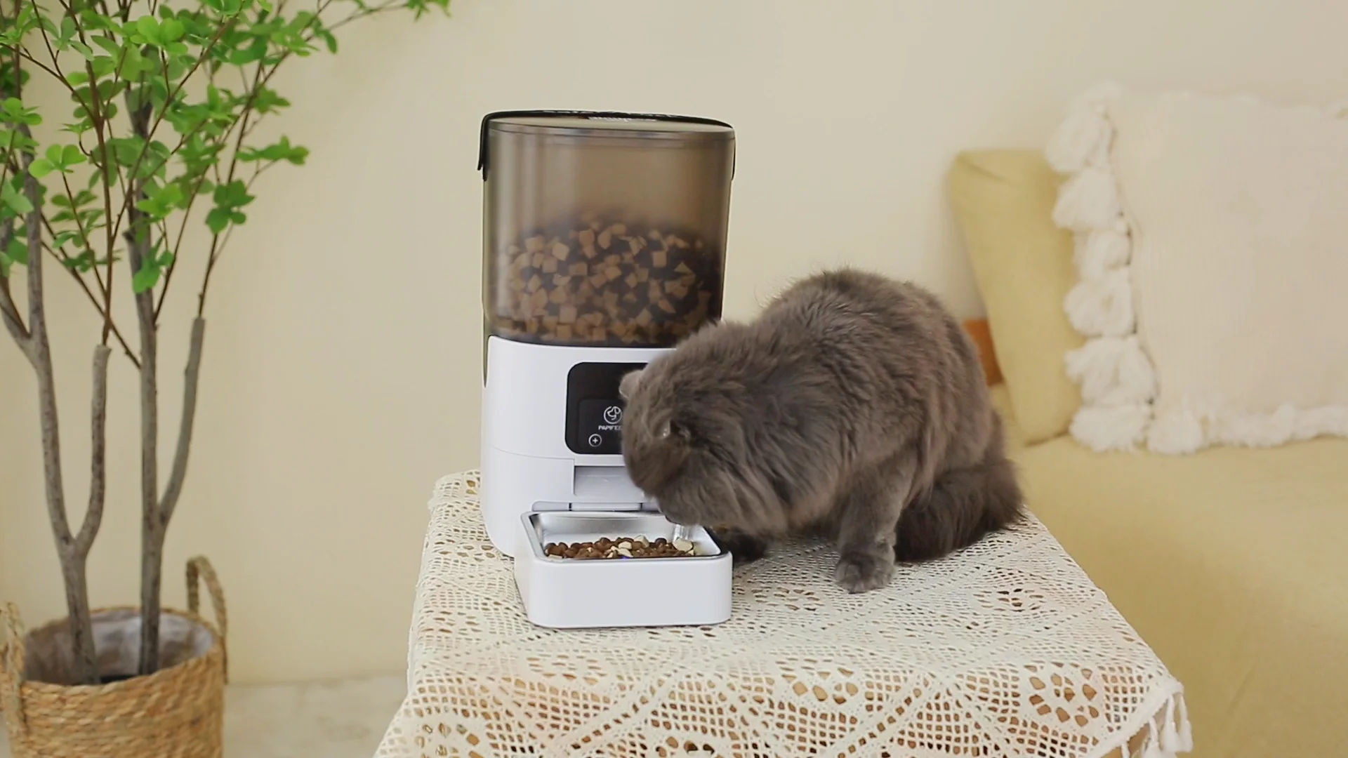Pet Feeder With Multiple Pet Profiles Options Reference: 6L Automatic Cat Feeder With App Control Auto Dry Food