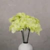 Verde claro