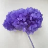 Blu viola
