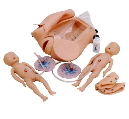 
 Продолжайте Высокоточный симулятор для взрослых пациентов  