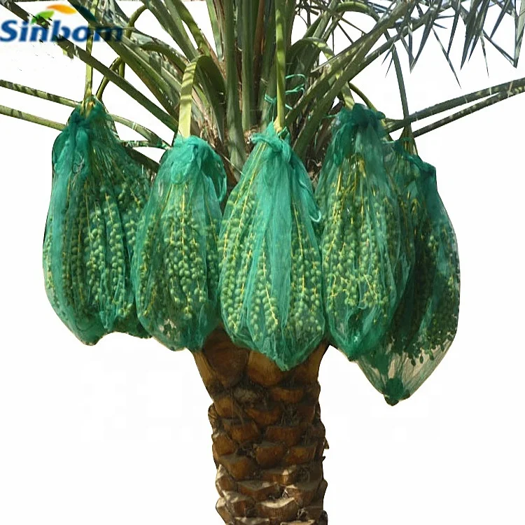 Pe Plastic Package Bag Date Palm Anti-Bird Cover Mesh Bag with Uv Protection