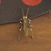 colorful Big Grasshopper