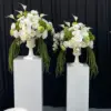 #1 Bianco Verde