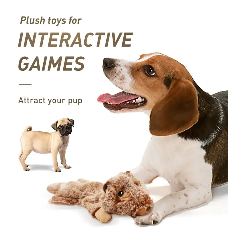 Interactive 5 Pack Pet Toys Dog Large Squeaky Toys Crinkle No Stuffing