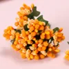 naranja 12 ramitas