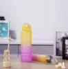 Color 3