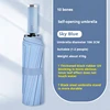 10K Automatic Umbrella(Sky Blue)