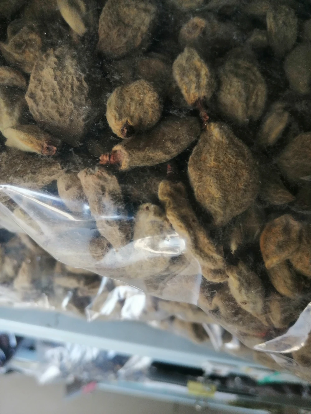 Herb Young Immature Fruit of Peach Dried Immature of David Peach for Sale
